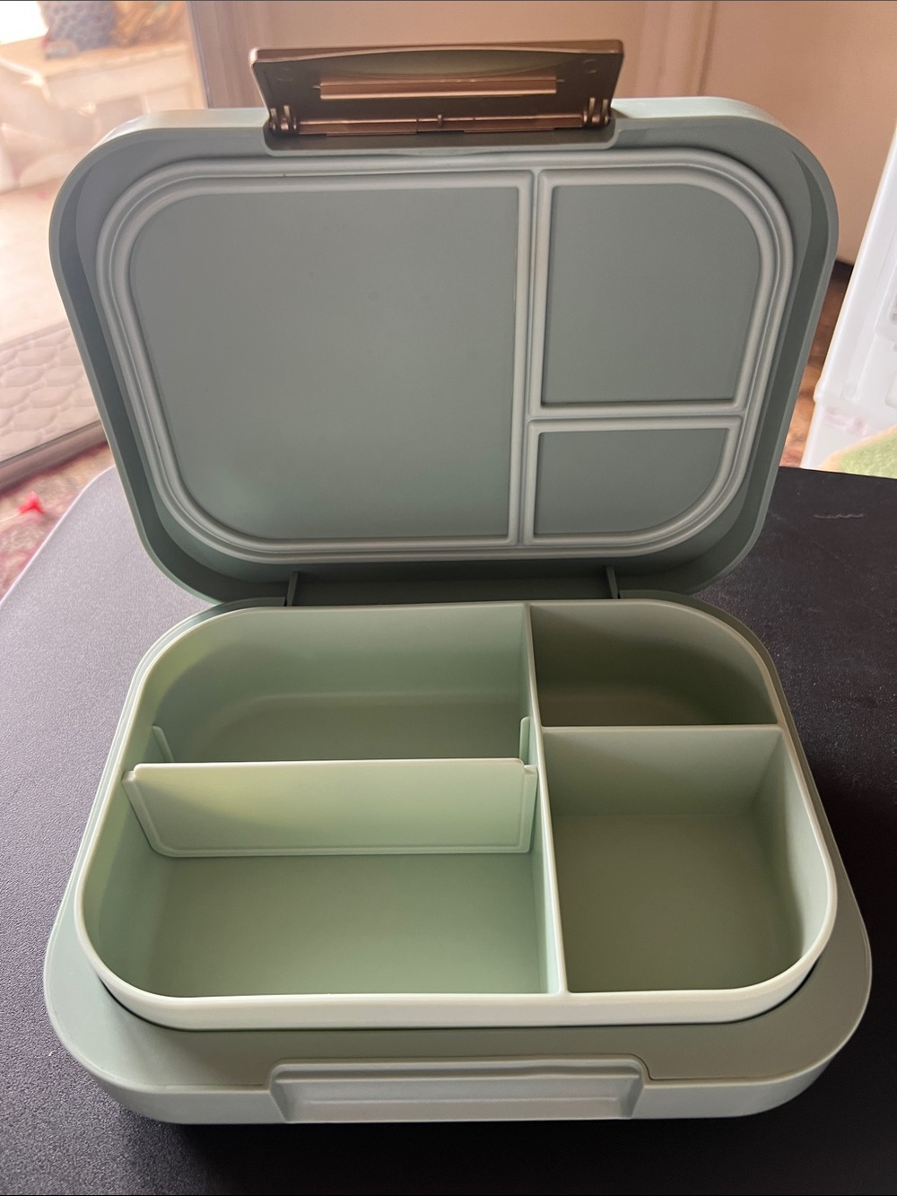 Bentgo Green Compartmental Lunch Box - Sleek Meal Organizer